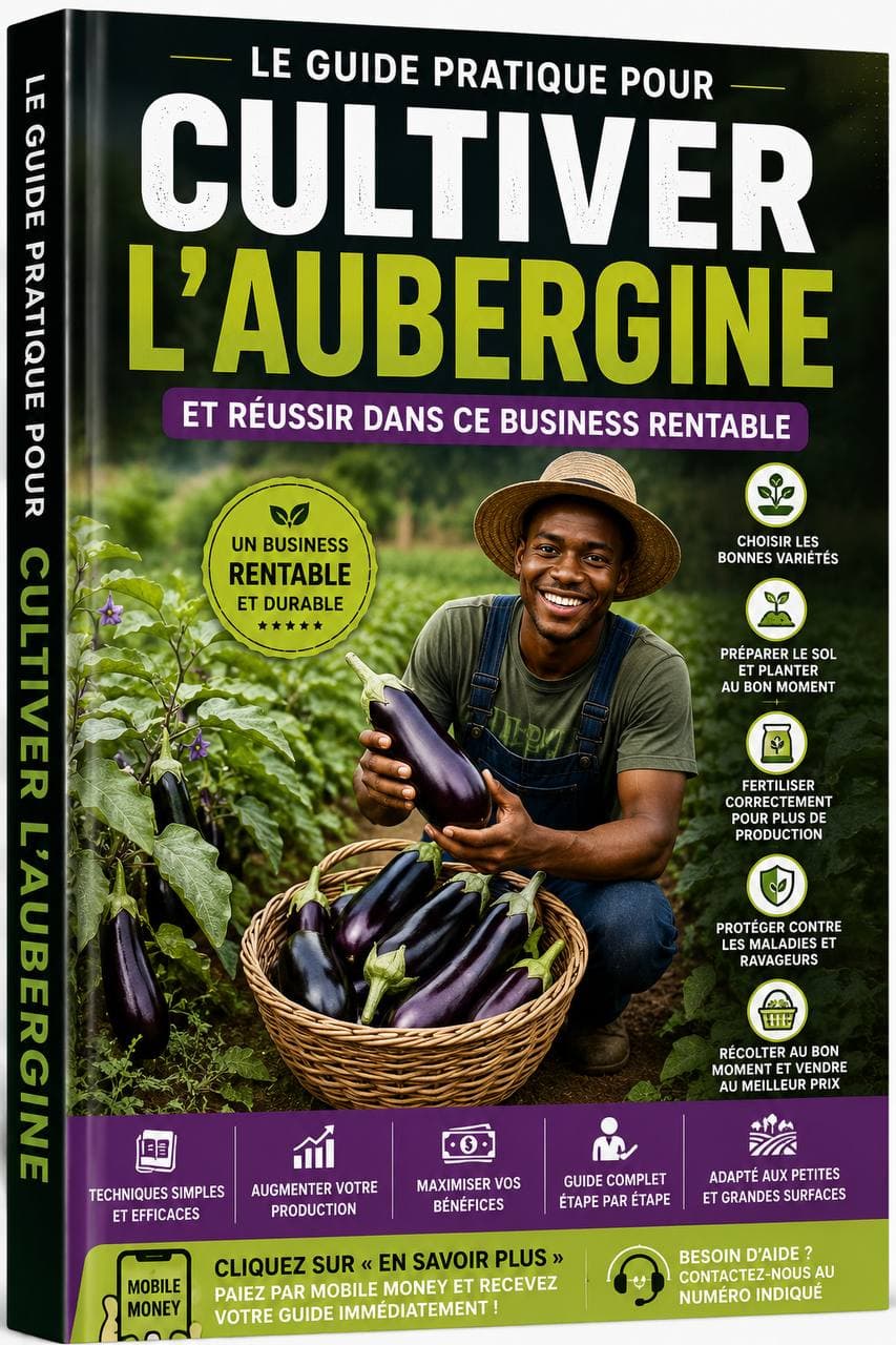 Couverture de Cultiver l'Aubergine